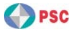 Manufacture Logo for Powerchip