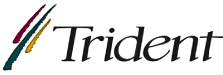 Manufacture Logo for Trident